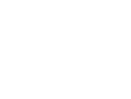 Discord icon