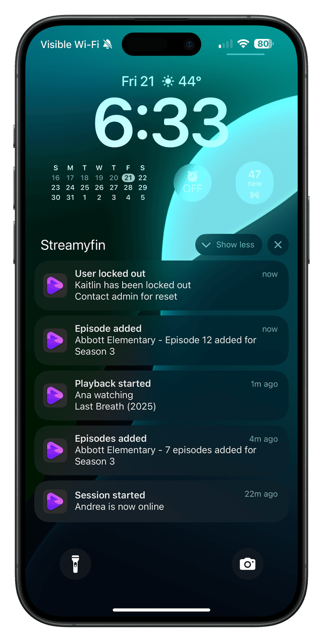 Screenshot: Notifications